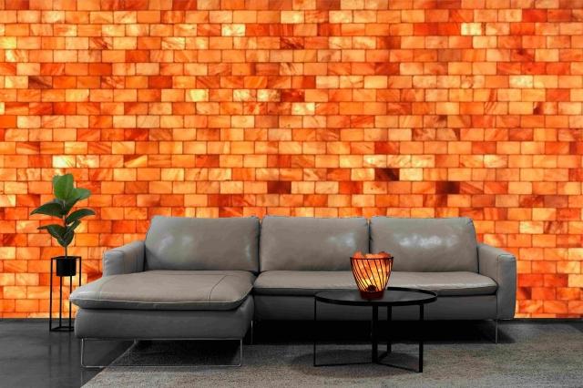 Salt Bricks