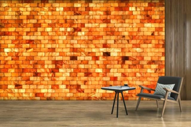 Himalayan Salt Blocks